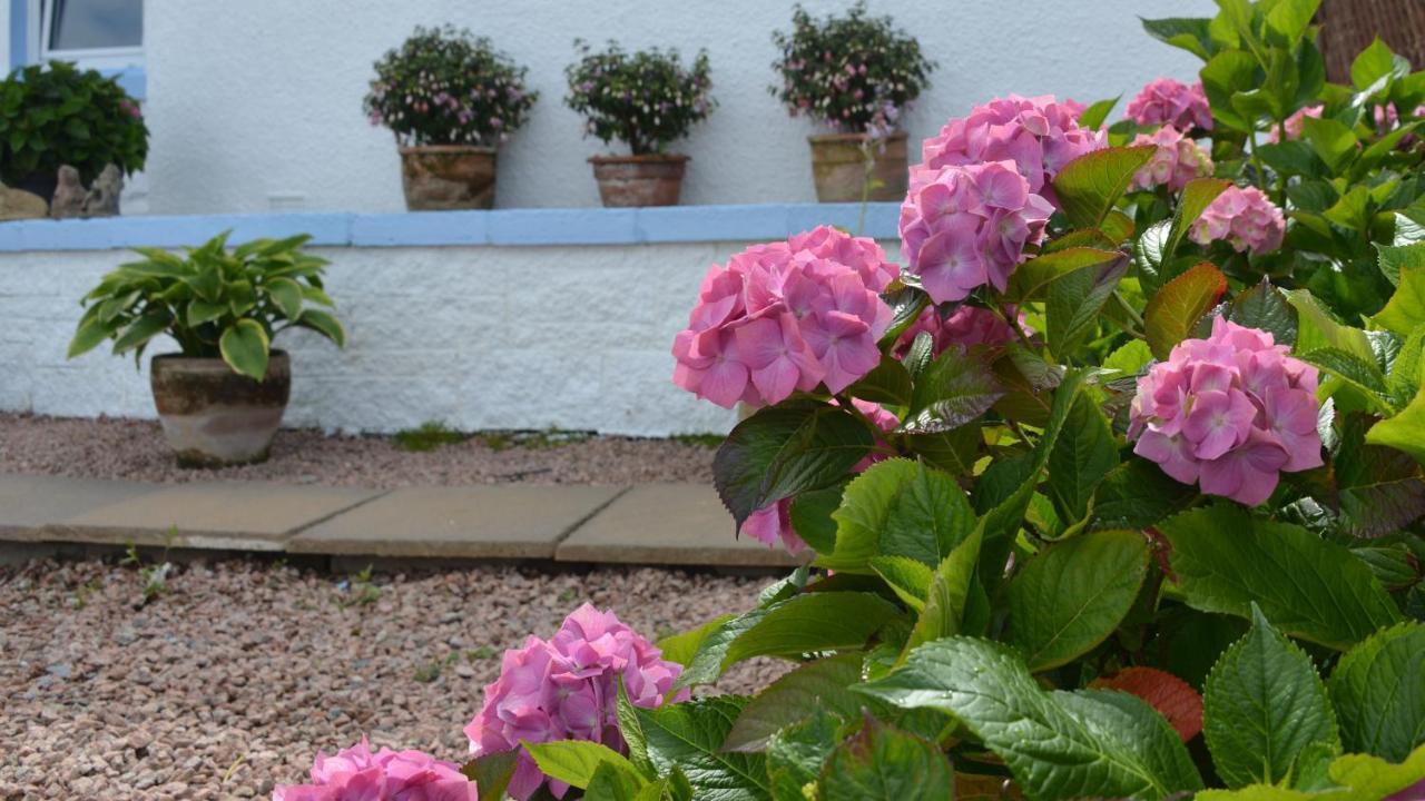 Springbank Bed and Breakfast Mallaig Eksteriør billede